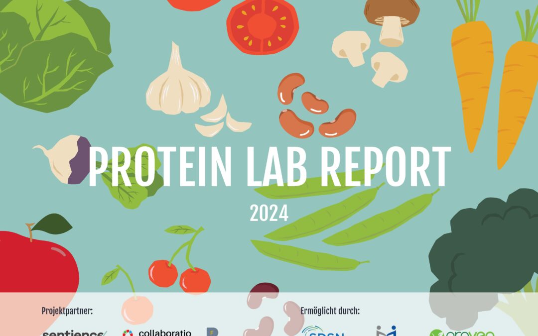 Protein Lab Report 2024