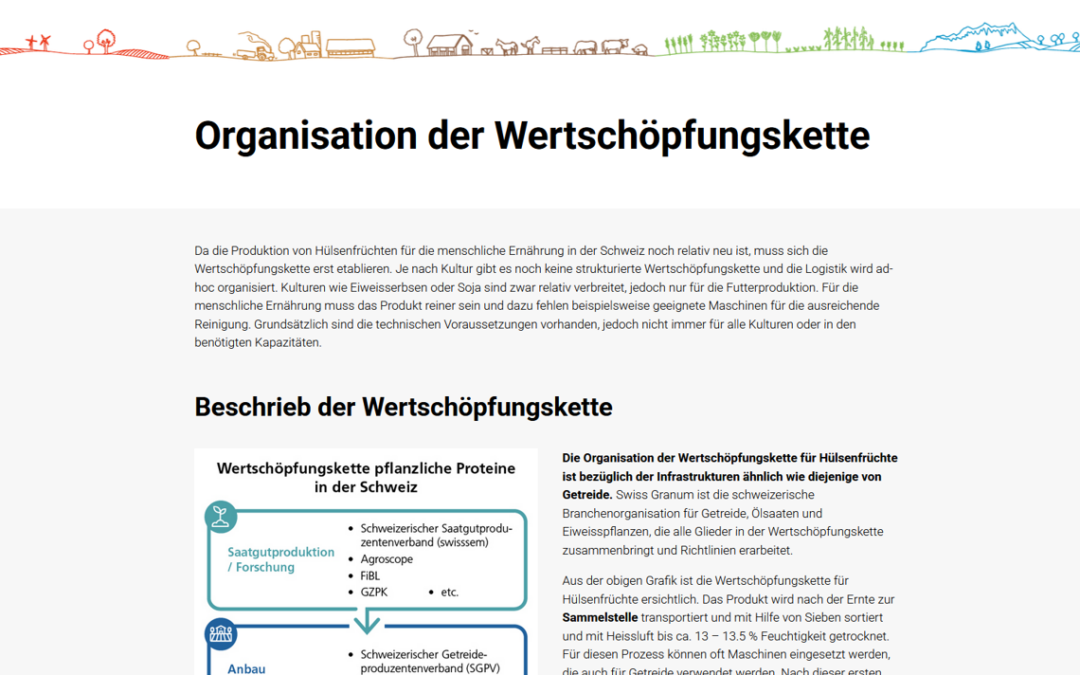 Wertschöpfungsketten von Hülsenfrüchten