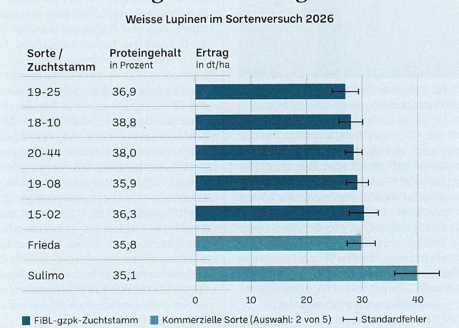 Update zum Lupinenjahr 2026